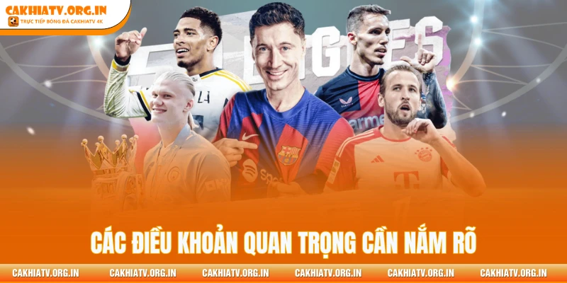 Các điều khoản quan trọng cần nắm rõ