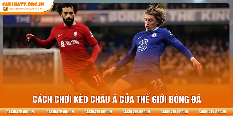 Cách chơi kèo châu Á của thế giới bóng đá