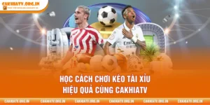 Học Cách Chơi Kèo Tài Xỉu Hiệu Quả Cùng Cakhiatv