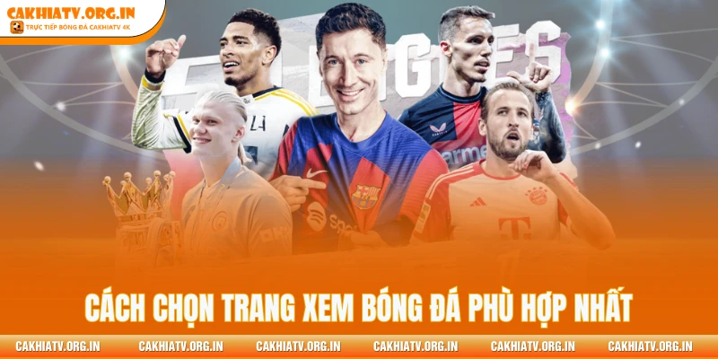 Cách chọn trang xem bóng đá phù hợp nhất