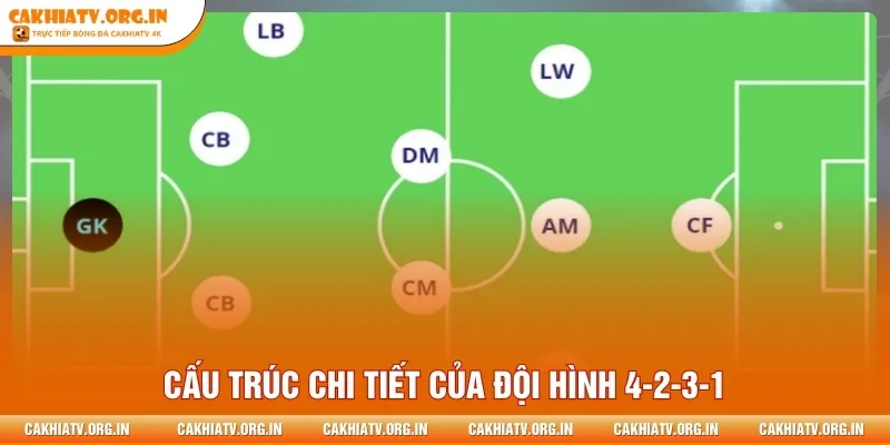 Cấu trúc chi tiết của đội hình 4-2-3-1