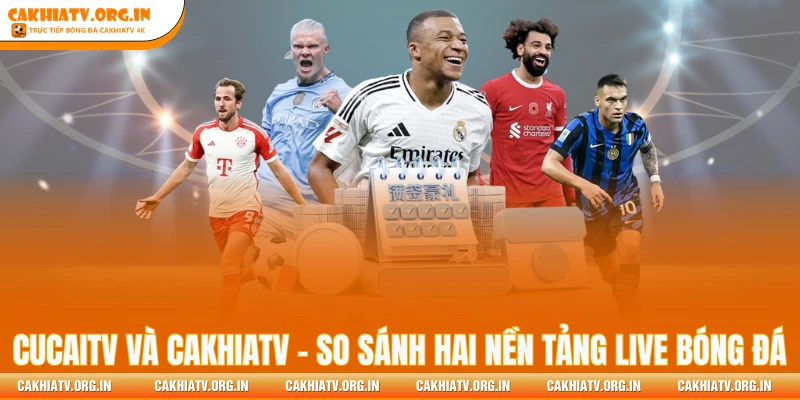 CucaiTV Và CakhiaTV - So Sánh Hai Nền Tảng Live Bóng Đá
