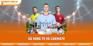 GÀ VÀNG TV Và CAKHIATV - Cuộc Đua Văn Hóa Xem Bóng Đá Số 1