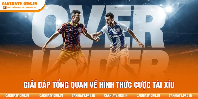 Giải đáp tổng quan về hình thức cược Tài Xỉu