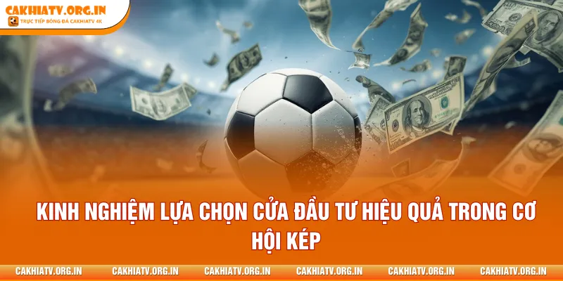 Kinh nghiệm lựa chọn cửa đầu tư hiệu quả trong cơ hội kép