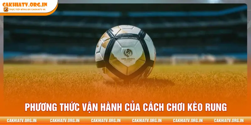 Phương thức vận hành của cách chơi kèo rung