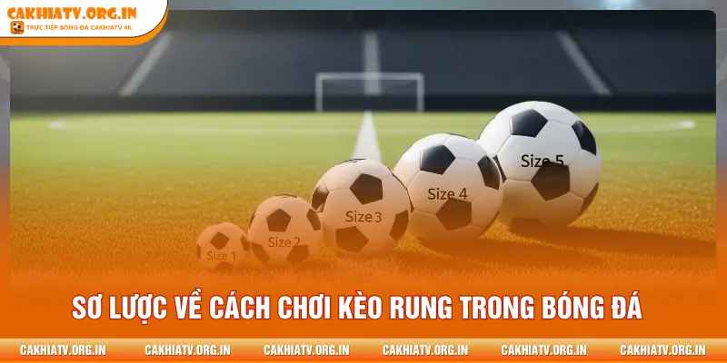 Sơ lược về cách chơi kèo rung trong bóng đá
