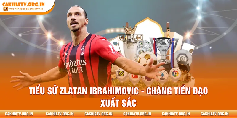 Tiểu sử Zlatan Ibrahimovic - Chàng Tiền Đạo Xuất Sắc