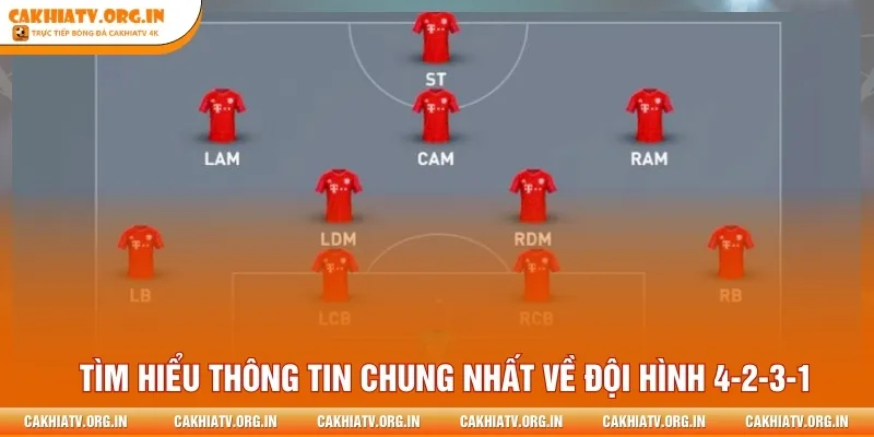Tìm hiểu thông tin chung nhất về đội hình 4-2-3-1