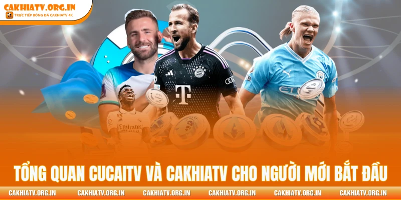 Tổng quan CucaiTV và CakhiaTV cho người mới bắt đầu