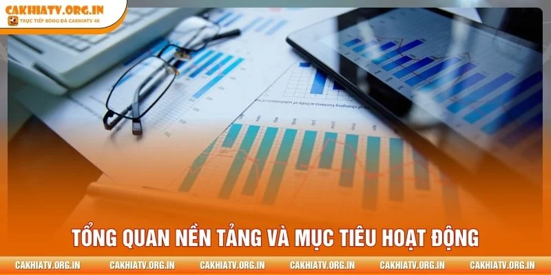 Tổng quan nền tảng và mục tiêu hoạt động