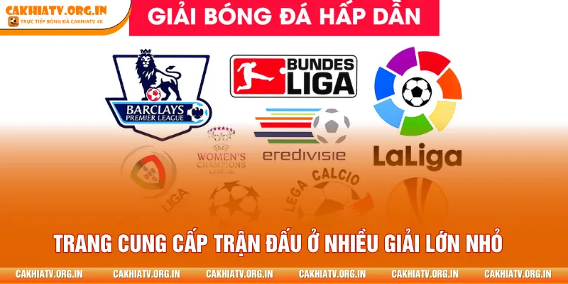 Trang cung cấp trận đấu ở nhiều giải lớn nhỏ