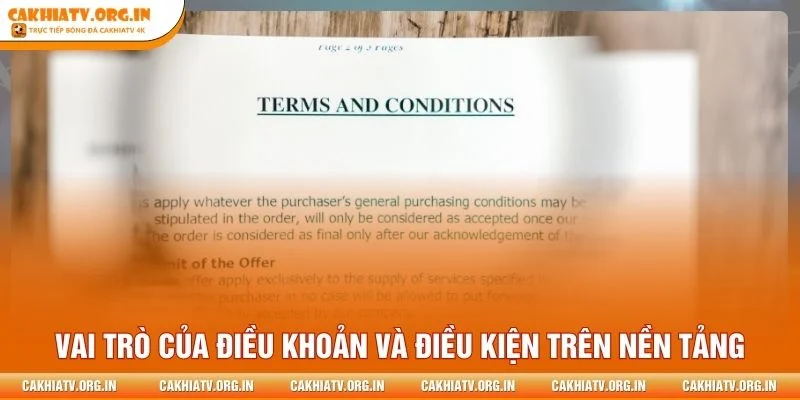 Ý nghĩa của điều khoản và điều kiện trong cơ chế vận hành
