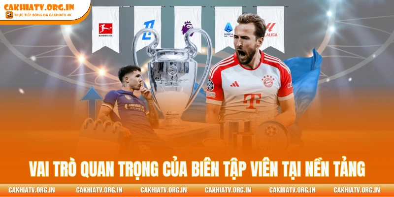 Vai trò quan trọng của biên tập viên tại nền tảng