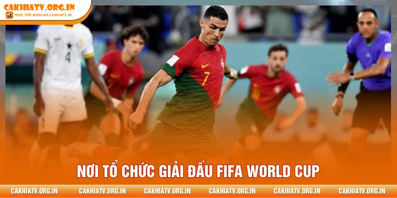 Nơi tổ chức giải đấu FIFA World Cup